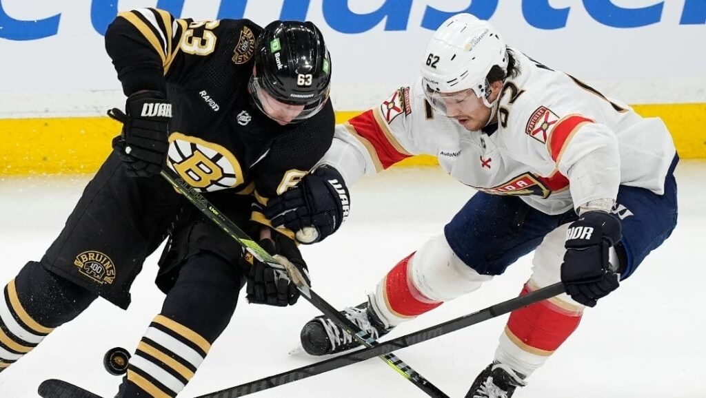 Bruins vs Panthers Toneytees